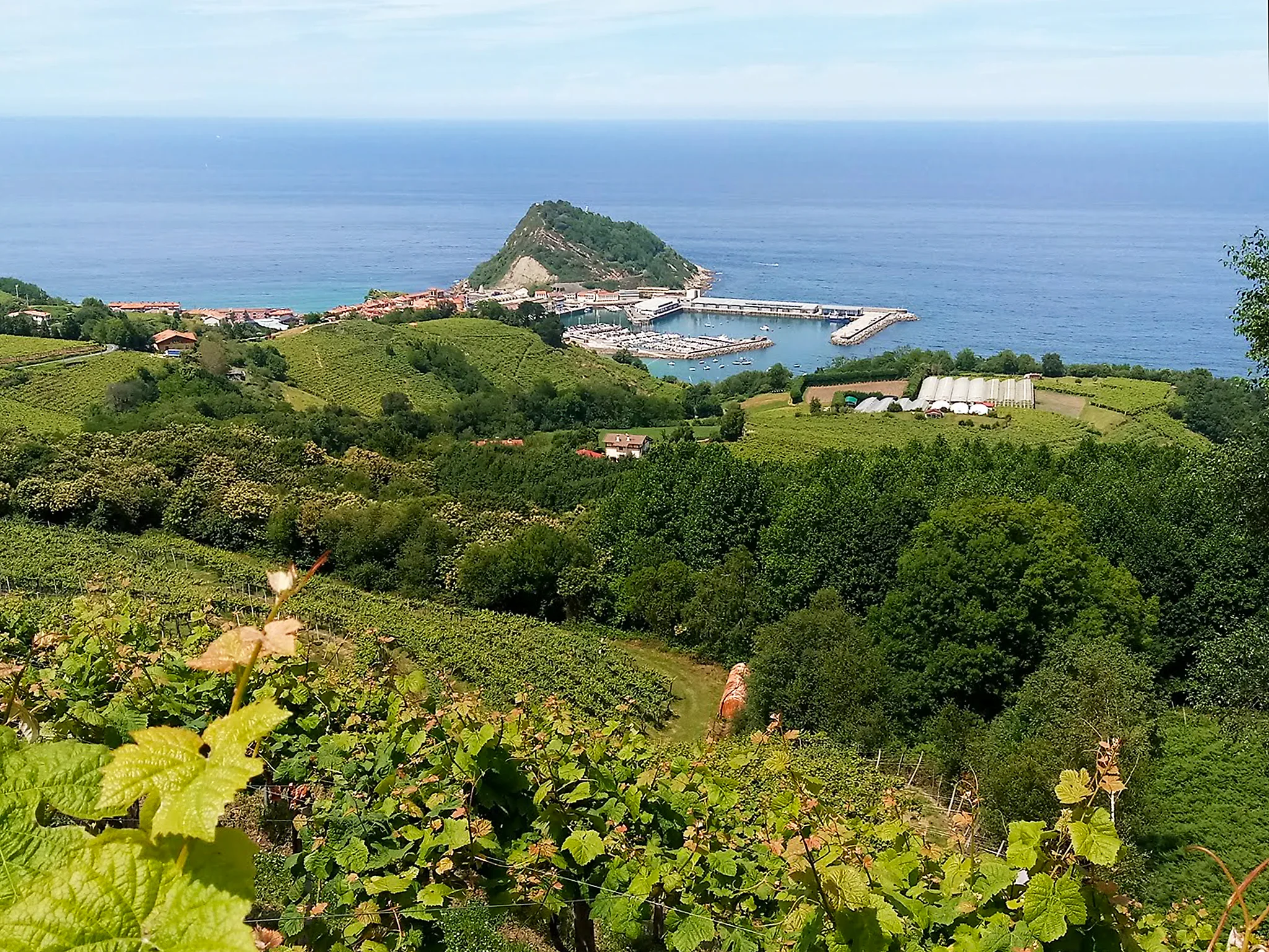 Bodegas y paisaje interior